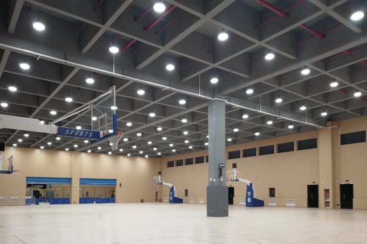 Wholesale 30W Customized SMD/COB Recessed LED Spotlight Ceiling Down Light LED Downlight