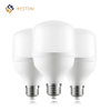 Heston Tseries LED Bulb TP-001