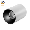 Heston LED Spotlight TD-100